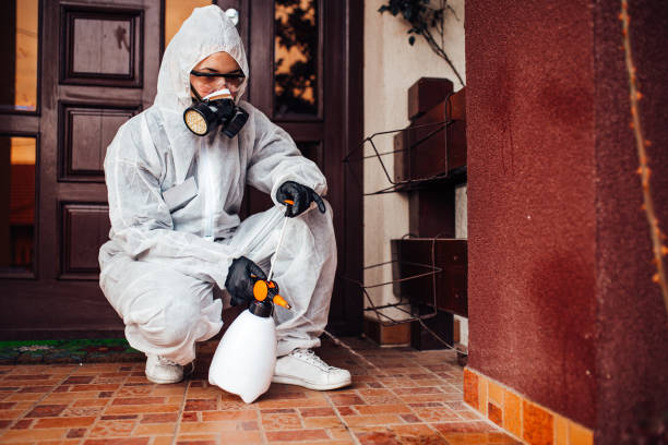 Attic and Crawl Space Rodent Treatment in Cajah's Mountain