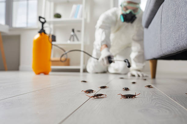 Commercial Rodent Management in Cajah's Mountain